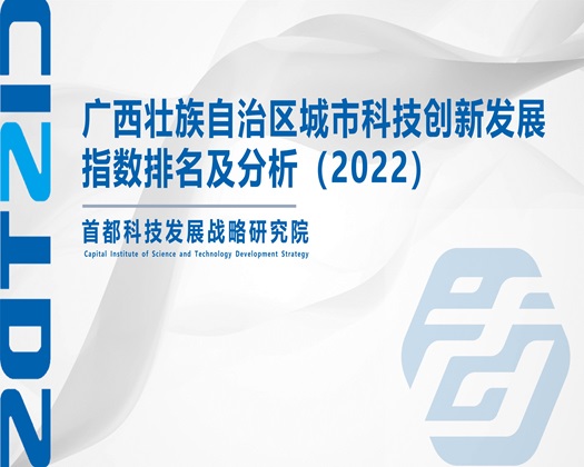 女生操逼【成果发布】广西壮族自治区城市科技创新发展指数排名及分析（2022）